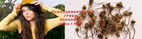 скорость Абаза