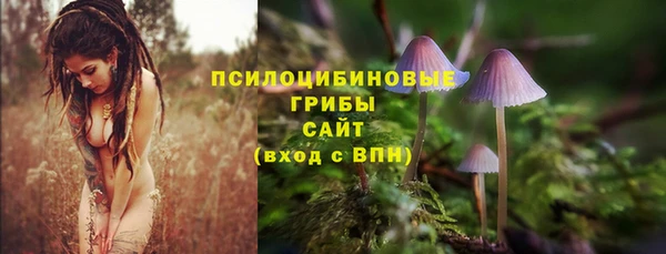 скорость Абаза