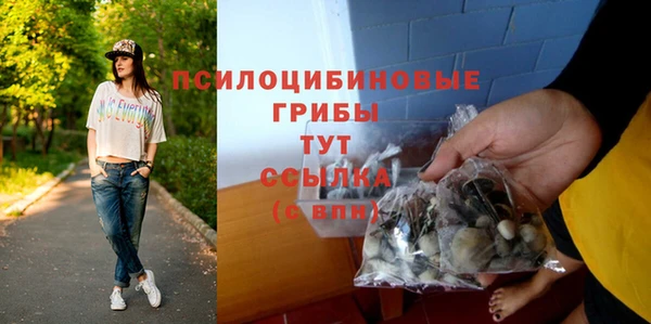 кокс Пестово