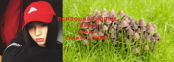 кокс Пестово