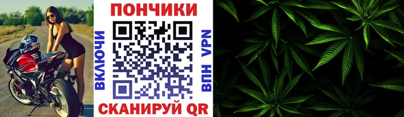 Канабис план  продажа наркотиков  Котельнич 